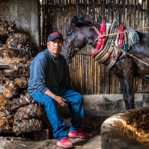 Pure Single Palenque Gregorio Martinez