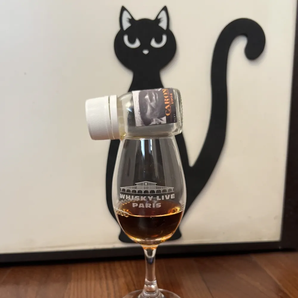 Caroni 1994 High Proof 17 Y.O. - immagine 2