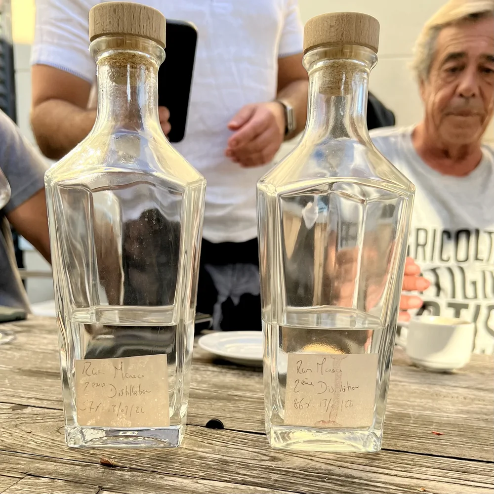 Sample del 2023 Rum Mother Mesccia